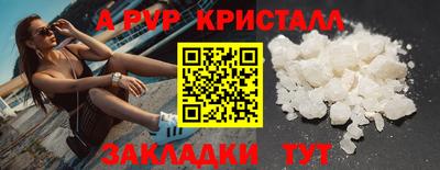 крисы Кунгур