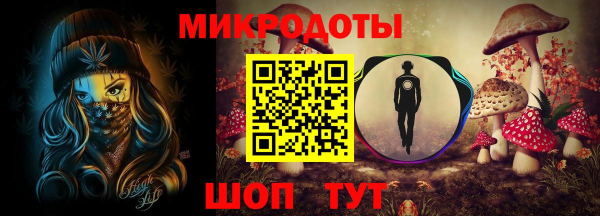 Галлюциногенные грибы Psilocybe Электросталь