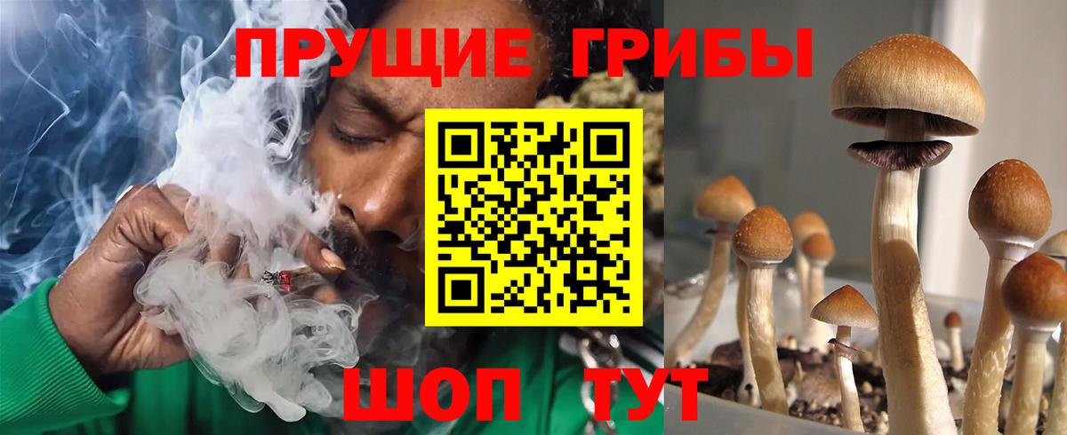 Псилоцибиновые грибы ЛСД  Галлюциногенные грибы Cubensis  Электросталь  Вход с VPN 